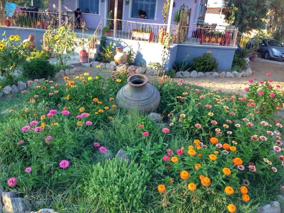 AegeanHeaven Villa Skála Eresoú Buitenkant foto